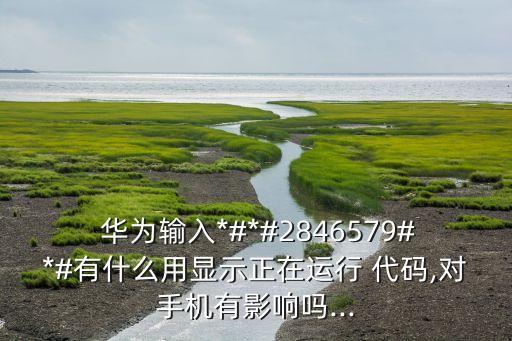 華為使用統(tǒng)計(jì)數(shù)據(jù)代碼,華為手機(jī)統(tǒng)計(jì)數(shù)據(jù)怎么刪除