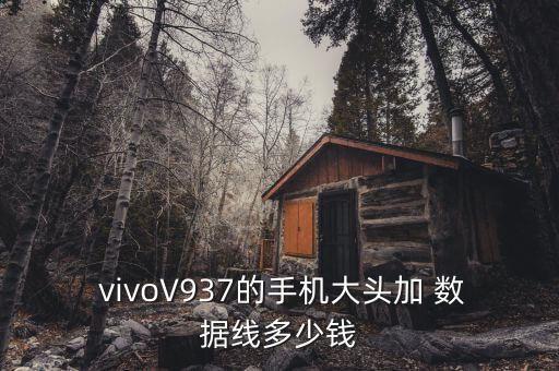  vivoV937的手機(jī)大頭加 數(shù)據(jù)線多少錢