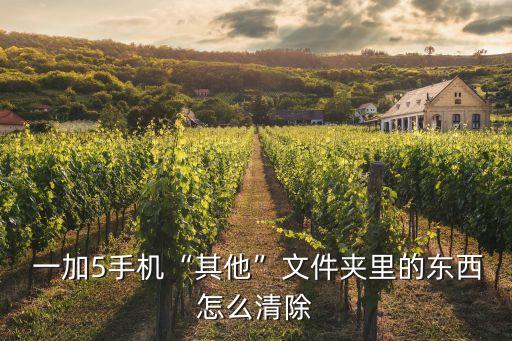  一加5手機“其他”文件夾里的東西怎么清除