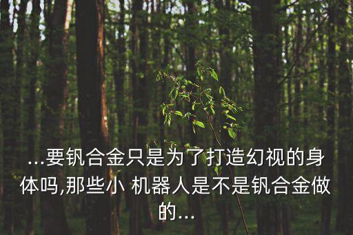 ...要釩合金只是為了打造幻視的身體嗎,那些小 機器人是不是釩合金做的...
