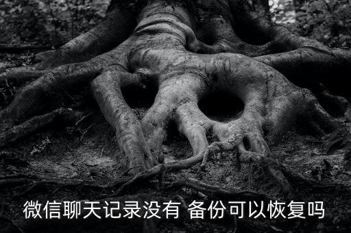沒備份的數(shù)據(jù)怎么找回,未備份的數(shù)據(jù)能否被找回
