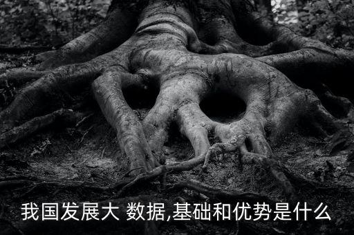 我國發(fā)展大 數(shù)據(jù),基礎(chǔ)和優(yōu)勢是什么