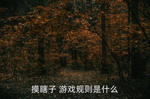 摸瞎子 游戲規(guī)則是什么