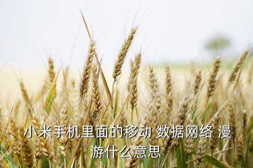 數(shù)據(jù)漫游 小米,小米手機數(shù)據(jù)漫游功能在哪里打開