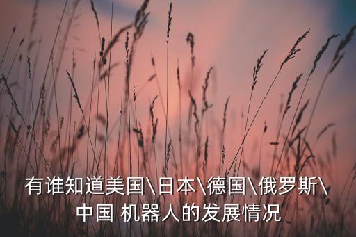 有誰知道美國\日本\德國\俄羅斯\中國 機器人的發(fā)展情況