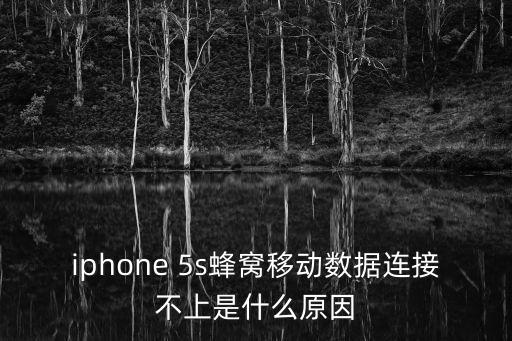 iphone 5s蜂窩移動數(shù)據(jù)連接不上是什么原因