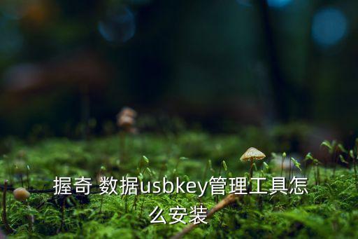  握奇 數(shù)據(jù)usbkey管理工具怎么安裝
