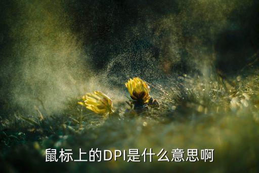 鼠標上的DPI是什么意思啊