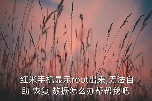 紅米3不能開數(shù)據(jù)恢復(fù),紅米手機(jī)怎么保留數(shù)據(jù)恢復(fù)出廠設(shè)置