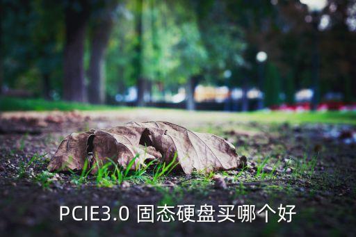 PCIE3.0 固態(tài)硬盤買哪個(gè)好