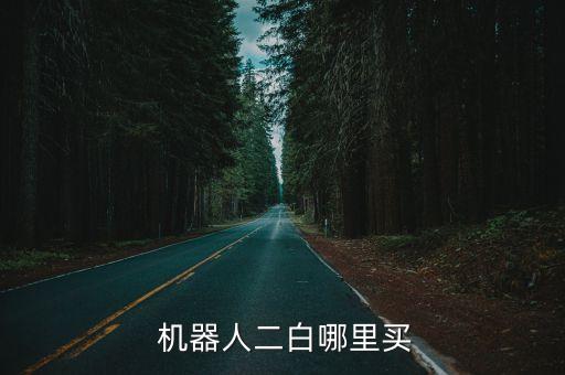  機(jī)器人二白哪里買