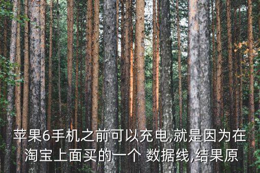 蘋果6手機(jī)之前可以充電,就是因?yàn)樵?淘寶上面買的一個(gè) 數(shù)據(jù)線,結(jié)果原