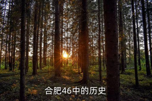 合肥46中的歷史