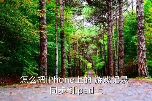 怎么把iPhone上的 游戲記錄 同步到ipad上