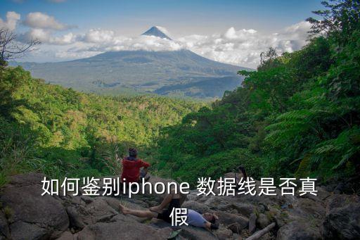數(shù)據(jù)線MFI認證在那里查詢,蘋果數(shù)據(jù)線mfi查詢