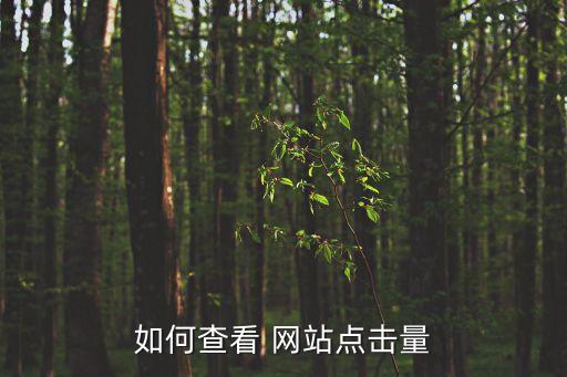 網(wǎng)站瀏覽數(shù)據(jù),如何清除瀏覽數(shù)據(jù)