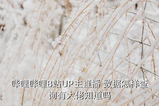 嗶哩嗶哩B站UP主直播 數(shù)據(jù)怎樣查詢有大佬知道嗎