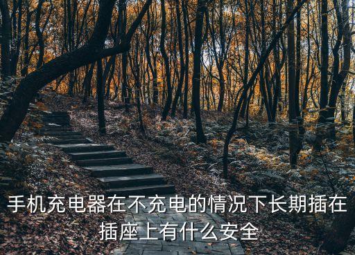 手機(jī)充電器在不充電的情況下長期插在 插座上有什么安全