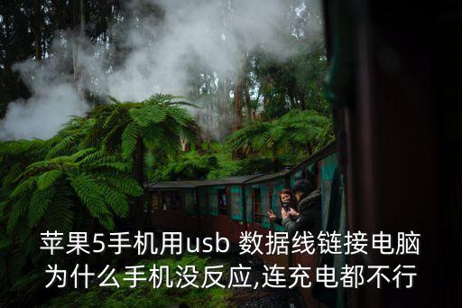 蘋(píng)果5手機(jī)用usb 數(shù)據(jù)線鏈接電腦為什么手機(jī)沒(méi)反應(yīng),連充電都不行