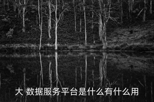 大 數(shù)據(jù)服務(wù)平臺是什么有什么用