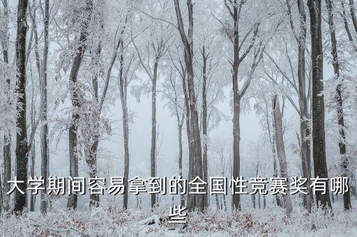 大學(xué)期間容易拿到的全國性競賽獎有哪些