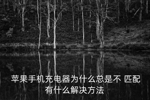 數(shù)據(jù)線和蘋果不匹配,蘋果手機(jī)顯示數(shù)據(jù)線不匹配怎么辦
