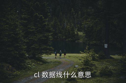lighting數據線是什么,蘋果usb-c數據線和lighting