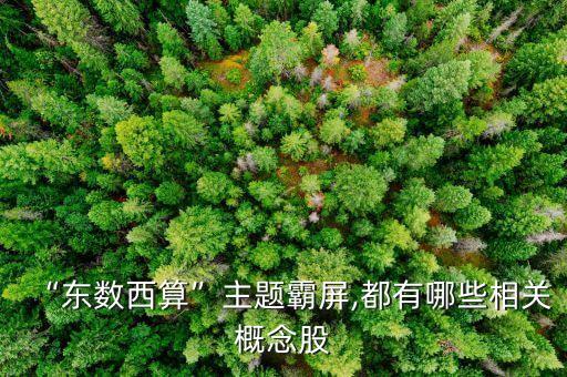 “東數(shù)西算”主題霸屏,都有哪些相關(guān)概念股