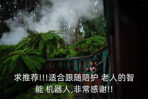 機(jī)器人陪伴老人