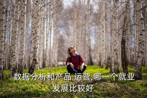  數(shù)據(jù)分析和產(chǎn)品 運營,哪一個就業(yè)發(fā)展比較好