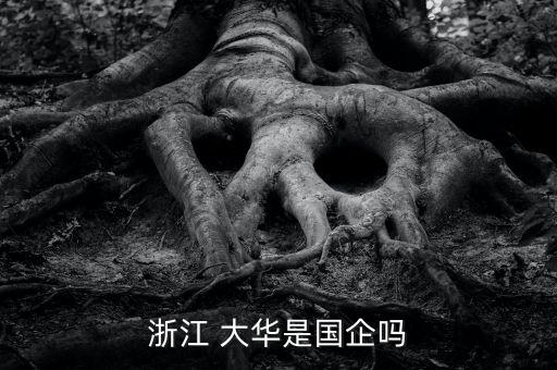 浙江 大華是國企嗎
