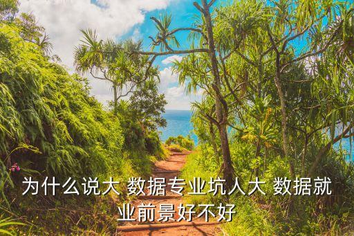 為什么說大 數(shù)據(jù)專業(yè)坑人大 數(shù)據(jù)就業(yè)前景好不好