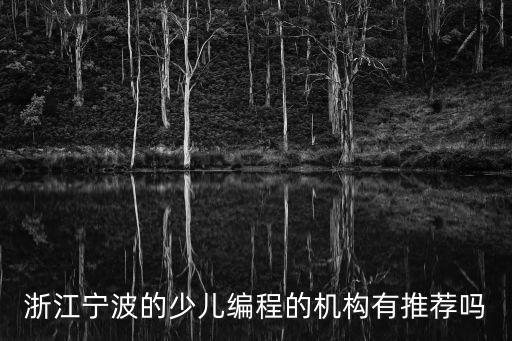 浙江寧波的少兒編程的機(jī)構(gòu)有推薦嗎