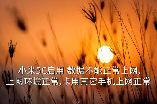 小米5c數(shù)據(jù)慢,小米9數(shù)據(jù)網(wǎng)絡(luò)特別慢怎么解決