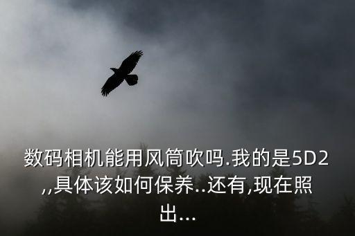 佳能5d2除塵數(shù)據(jù)是什么