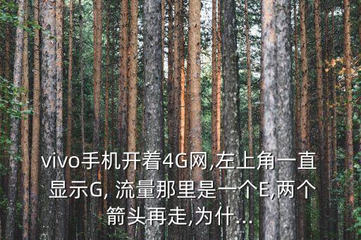 4g流量數(shù)據(jù)顯示