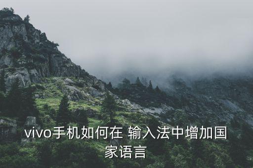 vivo手機(jī)如何在 輸入法中增加國(guó)家語言