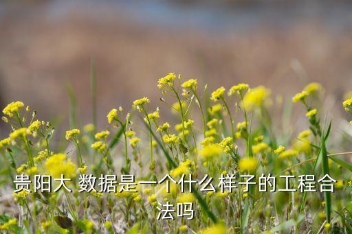 大數(shù)據(jù) 一個(gè)