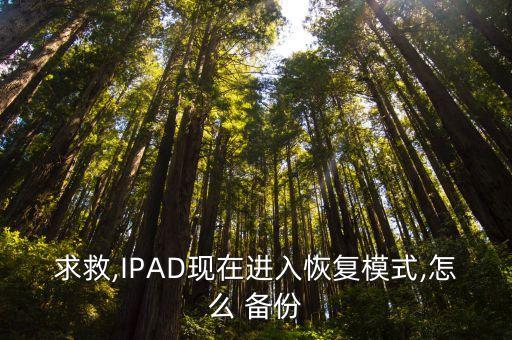 怎么備份ipad所有數(shù)據(jù),ipad可以備份iPhone數(shù)據(jù)嗎