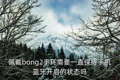 佩戴bong2手環(huán)需要一直保持手機藍牙開啟的狀態(tài)嗎