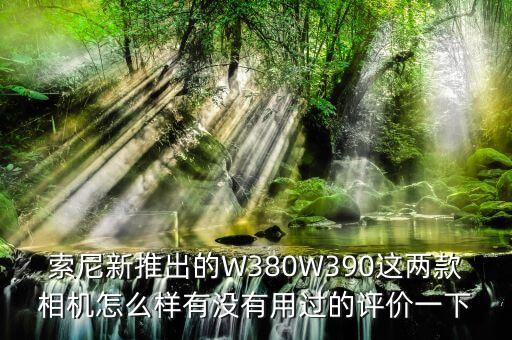 索尼新推出的W380W390這兩款相機(jī)怎么樣有沒有用過的評價一下