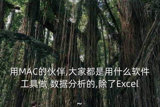 用MAC的伙伴,大家都是用什么軟件工具做 數據分析的,除了Excel~