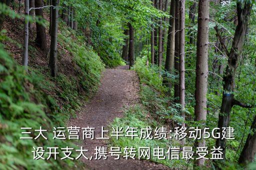 三大 運營商上半年成績:移動5G建設(shè)開支大,攜號轉(zhuǎn)網(wǎng)電信最受益