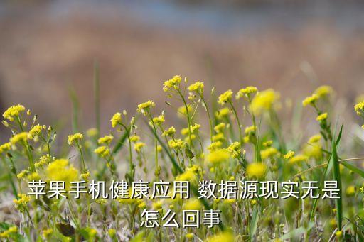  蘋果手機(jī)健康應(yīng)用 數(shù)據(jù)源現(xiàn)實(shí)無是怎么回事