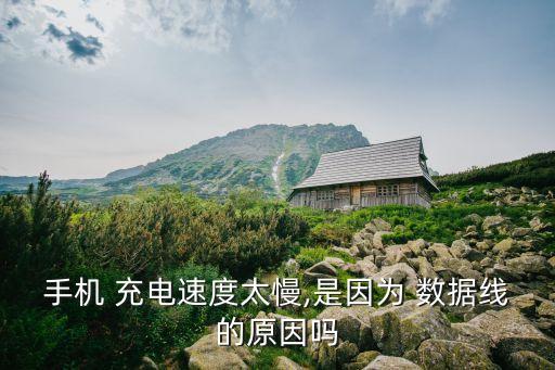 手機(jī) 充電速度太慢,是因?yàn)?數(shù)據(jù)線的原因嗎