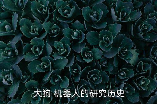 大狗機(jī)器人價(jià)格多少錢,二狗機(jī)器人多少錢一個(gè)月