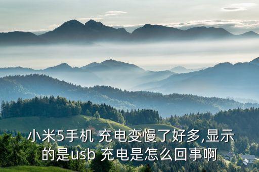  小米5手機(jī) 充電變慢了好多,顯示的是usb 充電是怎么回事啊
