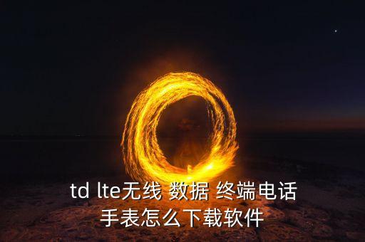 td lte數(shù)據(jù)終端說明書,LTE無線數(shù)據(jù)終端說明書