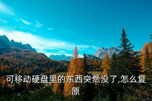 可移動硬盤里的東西突然沒了,怎么復原
