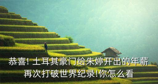 土耳其 數(shù)據(jù)泄露,艾弗森土耳其數(shù)據(jù)